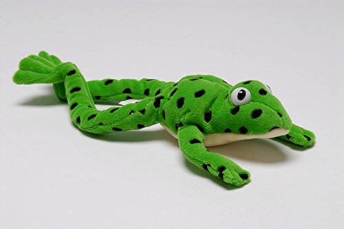 Fred frog Fred frog