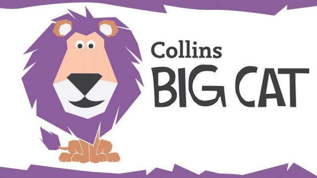 big cat big cat