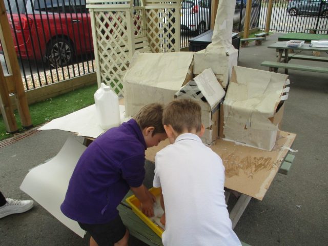 IMG_1558 IMG_1558