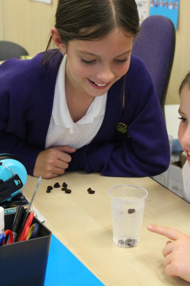 Lily Raisins 2 Lily Raisins 2