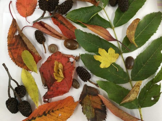 IMG_1879 (3) IMG_1879 (3)