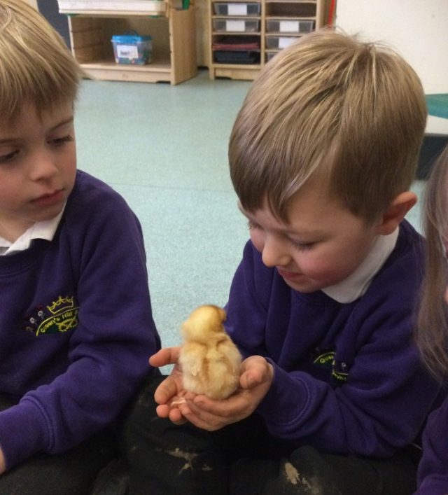 1AAD83EF3BFD43B4A3E4C599EC0CDD40