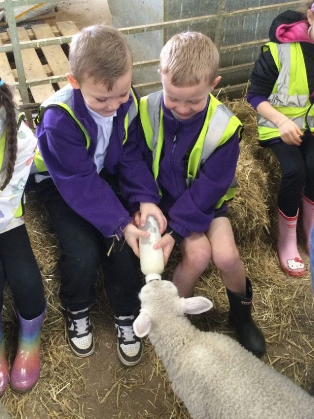 9530C477-C8FB-48D8-8F6F-0F4832195F7E