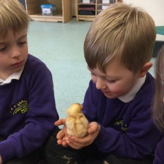 1AAD83EF3BFD43B4A3E4C599EC0CDD40