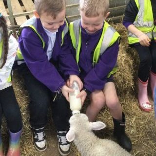 9530C477-C8FB-48D8-8F6F-0F4832195F7E