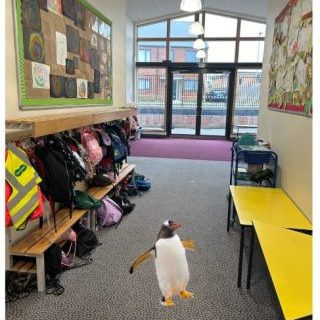 Penguin